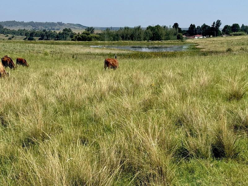 0 Bedroom Property for Sale in Bethlehem Rural Free State